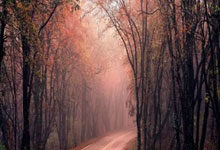 韩媒：中国男足正在被亚洲边缘化，中国媒体感叹“至少比朝鲜强”.