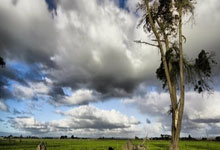 印度奥里萨邦羽毛球大师赛：高永杰和洼纯佑败给中国组合.